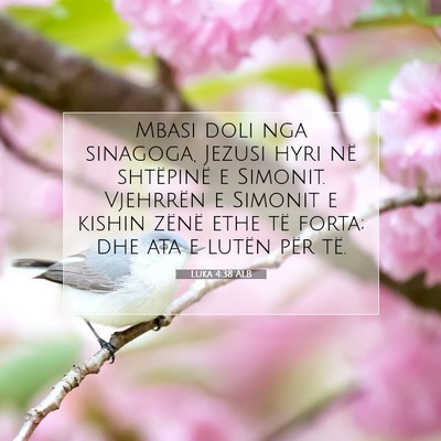 Picture 07 - Luka 4:38 ALB - Mbasi doli nga sinagoga, Jezusi hyri në - Bible Verse Picture