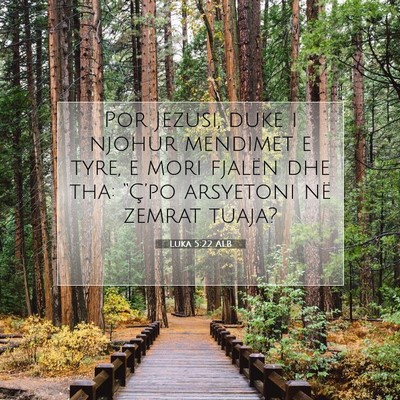 Picture 07 - Luka 5:22 ALB - Por Jezusi, duke i njohur mendimet e tyre, e mori - Bible Verse Picture