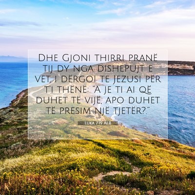 Picture 07 - Luka 7:19 ALB - Dhe Gjoni thirri pranë tij dy nga dishepujt e - Bible Verse Picture