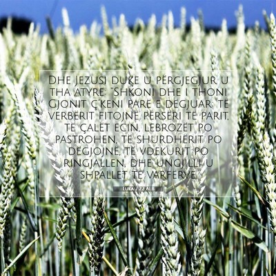 Picture 07 - Luka 7:22 ALB - Dhe Jezusi duke u përgjegjur u tha atyre: - Bible Verse Picture
