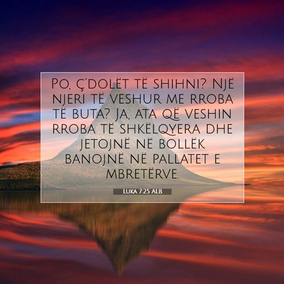Picture 07 - Luka 7:25 ALB - Po, ç’dolët të shihni? Një njeri të veshur - Bible Verse Picture