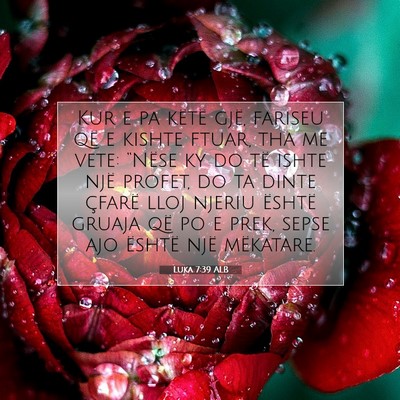 Picture 07 - Luka 7:39 ALB - Kur e pa këtë gjë, fariseu që e kishte ftuar, - Bible Verse Picture