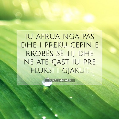 Picture 07 - Luka 8:44 ALB - iu afrua nga pas dhe i preku cepin e rrobës së - Bible Verse Picture