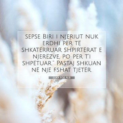 Picture 07 - Luka 9:56 ALB - sepse Biri i njeriut nuk erdhi për të - Bible Verse Picture