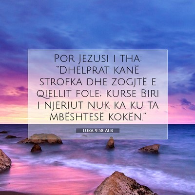 Picture 07 - Luka 9:58 ALB - Por Jezusi i tha: “Dhelprat kanë strofka dhe - Bible Verse Picture