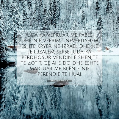 Picture 07 - Malakia 2:11 ALB - Juda ka vepruar me pabesi dhe një veprim i - Bible Verse Picture