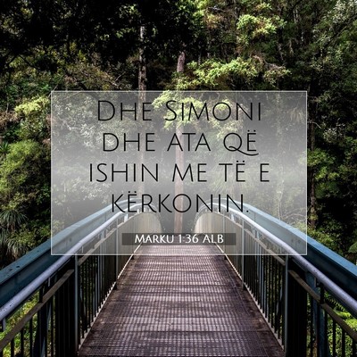 Picture 07 - Marku 1:36 ALB - Dhe Simoni dhe ata që ishin me të e - Bible Verse Picture