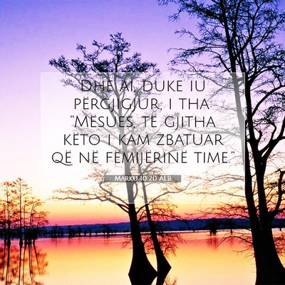 Picture 07 - Marku 10:20 ALB - Dhe ai, duke iu përgjigjur, i tha: “Mësues, - Bible Verse Picture