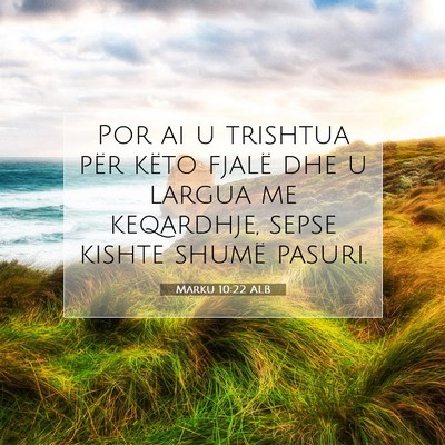 Picture 07 - Marku 10:22 ALB - Por ai u trishtua për këto fjalë dhe u largua - Bible Verse Picture