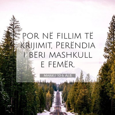 Picture 07 - Marku 10:6 ALB - por në fillim të krijimit, Perëndia i bëri - Bible Verse Picture