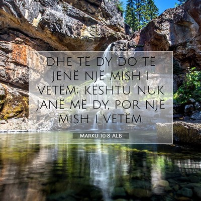 Picture 07 - Marku 10:8 ALB - dhe të dy do të jenë një mish i vetëm; - Bible Verse Picture