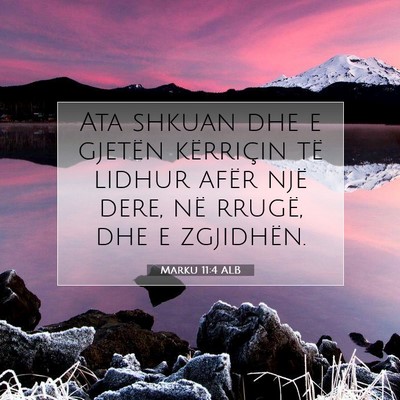Picture 07 - Marku 11:4 ALB - Ata shkuan dhe e gjetën kërriçin të lidhur - Bible Verse Picture