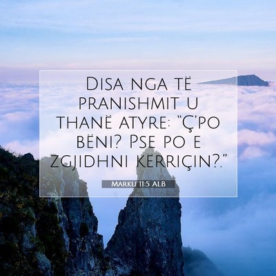 Picture 07 - Marku 11:5 ALB - Disa nga të pranishmit u thanë atyre: - Bible Verse Picture