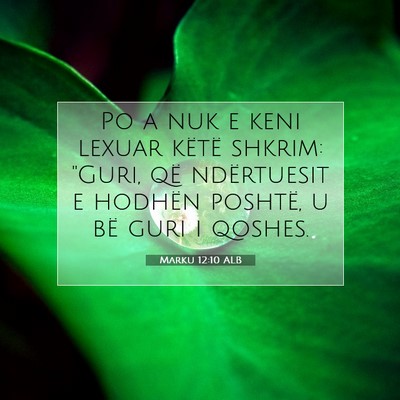 Picture 07 - Marku 12:10 ALB - Po a nuk e keni lexuar këtë shkrim: 