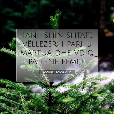 Picture 07 - Marku 12:20 ALB - Tani ishin shtatë vëllezër; i pari u martua - Bible Verse Picture