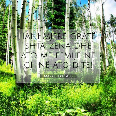 Picture 07 - Marku 13:17 ALB - Tani mjerë gratë shtatzëna dhe ato me fëmijë - Bible Verse Picture