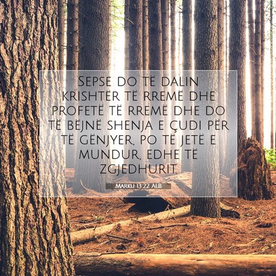 Picture 07 - Marku 13:22 ALB - Sepse do të dalin krishtër të rremë dhe - Bible Verse Picture