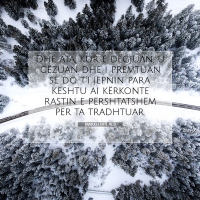 Picture 07 - Marku 14:11 ALB - Dhe ata, kur e dëgjuan, u gëzuan dhe i premtuan - Bible Verse Picture
