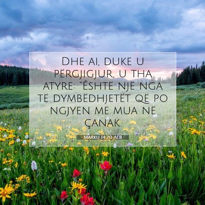 Picture 07 - Marku 14:20 ALB - Dhe ai, duke u përgjigjur, u tha atyre: - Bible Verse Picture