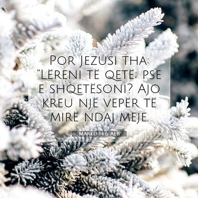 Picture 07 - Marku 14:6 ALB - Por Jezusi tha: “Lëreni të qetë; pse e - Bible Verse Picture
