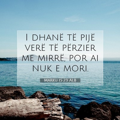 Picture 07 - Marku 15:23 ALB - I dhanë të pijë verë të përzier me mirrë, - Bible Verse Picture