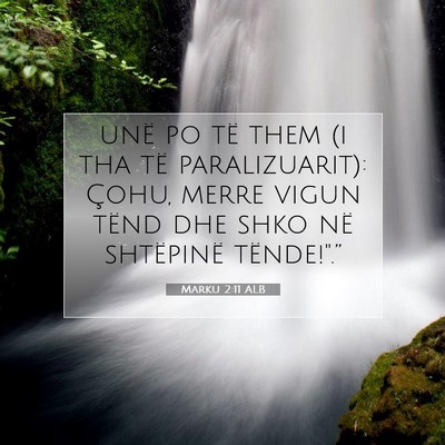 Picture 07 - Marku 2:11 ALB - unë po të them (i tha të paralizuarit): Çohu, - Bible Verse Picture