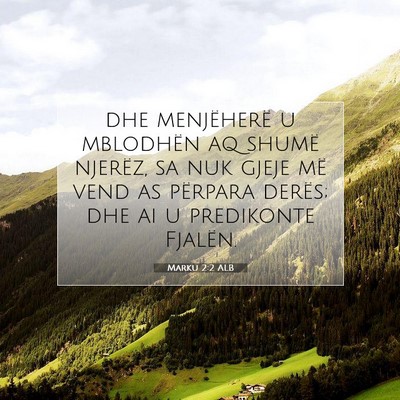 Picture 07 - Marku 2:2 ALB - dhe menjëherë u mblodhën aq shumë njerëz, sa - Bible Verse Picture