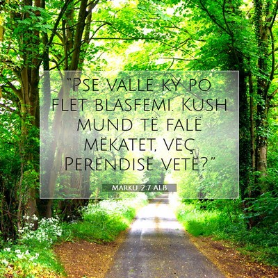 Picture 07 - Marku 2:7 ALB - “Pse vallë ky po flet blasfemi. Kush mund të - Bible Verse Picture