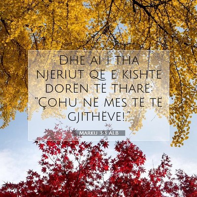Picture 07 - Marku 3:3 ALB - Dhe ai i tha njeriut që e kishte dorën të - Bible Verse Picture