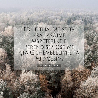 Picture 07 - Marku 4:30 ALB - Edhe tha: Me se ta krahasojmë mbretërinë e - Bible Verse Picture