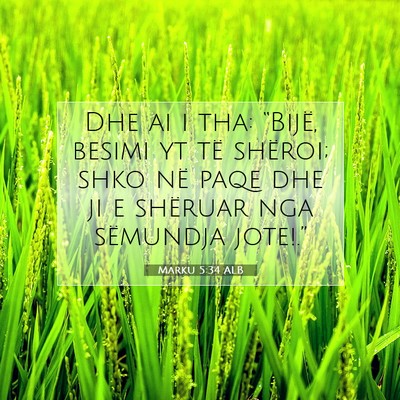 Picture 07 - Marku 5:34 ALB - Dhe ai i tha: “Bijë, besimi yt të shëroi; - Bible Verse Picture