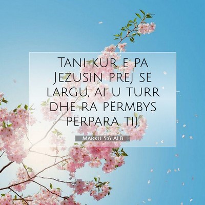 Picture 07 - Marku 5:6 ALB - Tani kur e pa Jezusin prej së largu, ai u turr - Bible Verse Picture