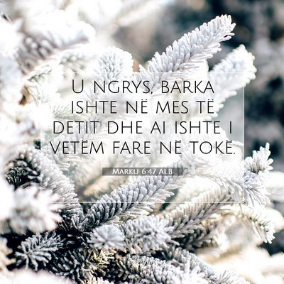Picture 07 - Marku 6:47 ALB - U ngrys, barka ishte në mes të detit dhe ai - Bible Verse Picture