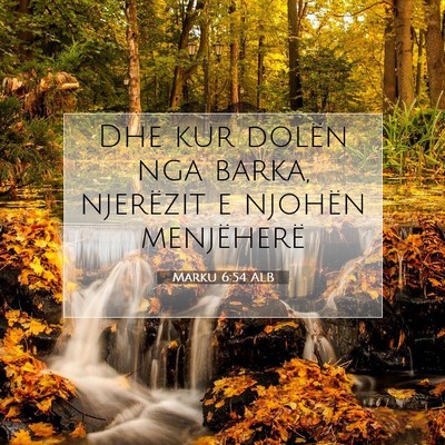 Picture 07 - Marku 6:54 ALB - Dhe kur dolën nga barka, njerëzit e njohën - Bible Verse Picture
