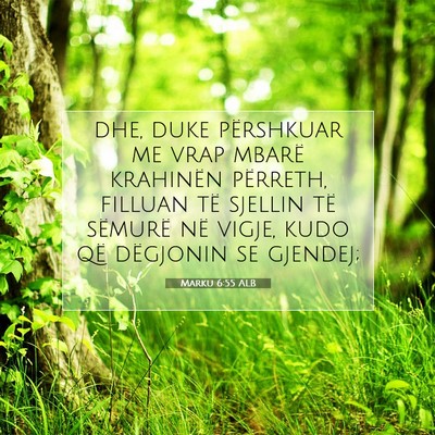 Picture 07 - Marku 6:55 ALB - dhe, duke përshkuar me vrap mbarë krahinën - Bible Verse Picture
