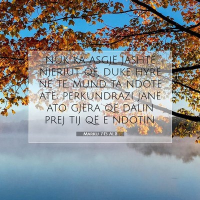 Picture 07 - Marku 7:15 ALB - Nuk ka asgjë jashtë njeriut që, duke hyrë në - Bible Verse Picture