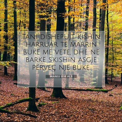 Picture 07 - Marku 8:14 ALB - Tani dishepujt kishin harruar të marrin bukë me - Bible Verse Picture