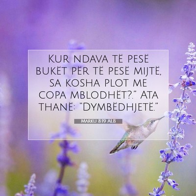 Picture 07 - Marku 8:19 ALB - Kur ndava të pesë bukët për të pesë mijtë, - Bible Verse Picture