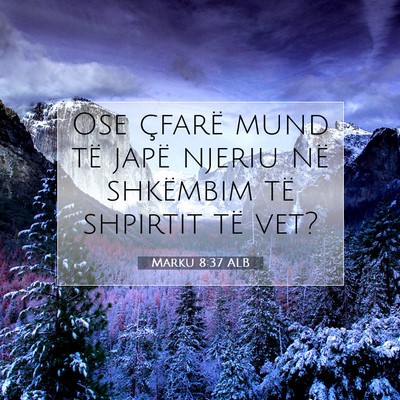 Picture 07 - Marku 8:37 ALB - Ose çfarë mund të japë njeriu në shkëmbim - Bible Verse Picture