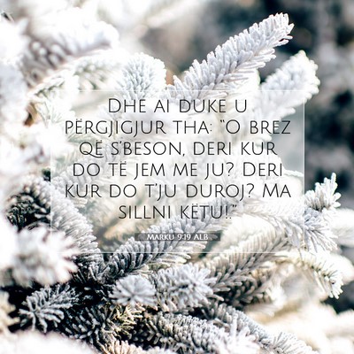Picture 07 - Marku 9:19 ALB - Dhe ai duke u përgjigjur tha: “O brez që - Bible Verse Picture