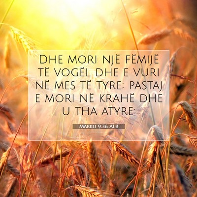 Picture 07 - Marku 9:36 ALB - Dhe mori një fëmijë të vogël dhe e vuri në - Bible Verse Picture