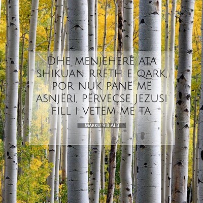 Picture 07 - Marku 9:8 ALB - Dhe menjëherë ata shikuan rreth e qark, por nuk - Bible Verse Picture