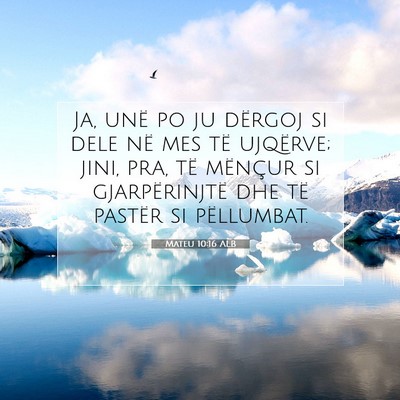 Picture 07 - Mateu 10:16 ALB - Ja, unë po ju dërgoj si dele në mes të - Bible Verse Picture