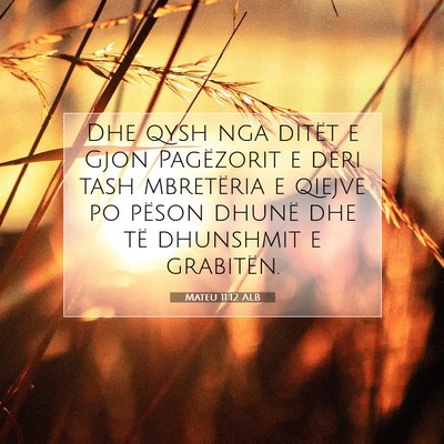Picture 07 - Mateu 11:12 ALB - Dhe qysh nga ditët e Gjon Pagëzorit e deri tash - Bible Verse Picture