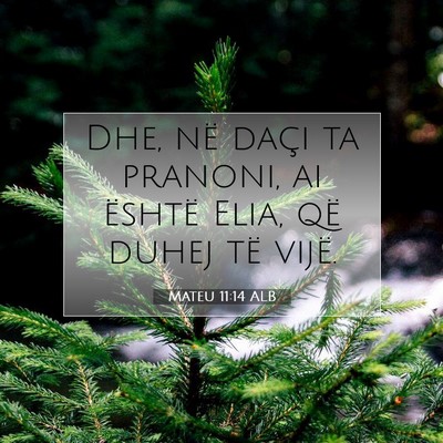 Picture 07 - Mateu 11:14 ALB - Dhe, në daçi ta pranoni, ai është Elia, që - Bible Verse Picture
