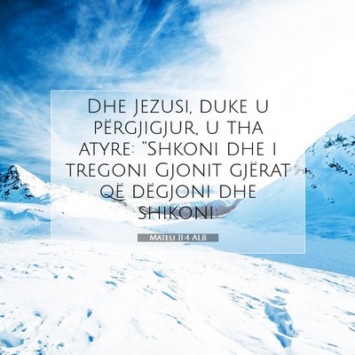 Picture 07 - Mateu 11:4 ALB - Dhe Jezusi, duke u përgjigjur, u tha atyre: - Bible Verse Picture