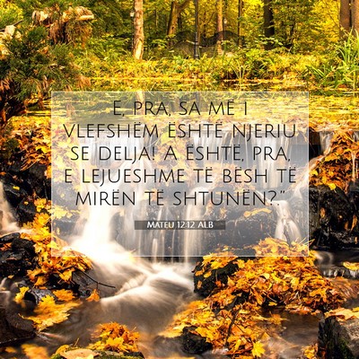 Picture 07 - Mateu 12:12 ALB - E, pra, sa më i vlefshëm është njeriu se - Bible Verse Picture