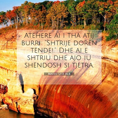 Picture 07 - Mateu 12:13 ALB - Atëherë ai i tha atij burri: “Shtrije dorën - Bible Verse Picture