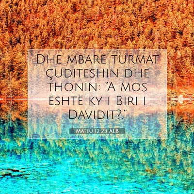 Picture 07 - Mateu 12:23 ALB - Dhe mbarë turmat çuditeshin dhe thonin: “A - Bible Verse Picture