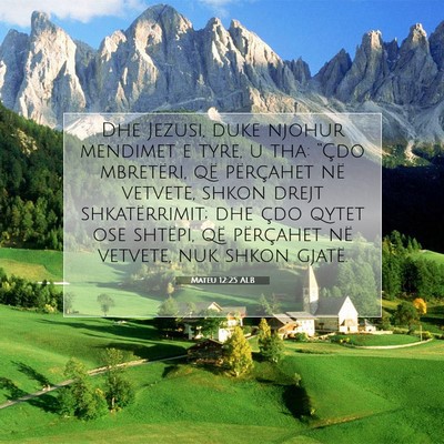 Picture 07 - Mateu 12:25 ALB - Dhe Jezusi, duke njohur mendimet e tyre, u tha: - Bible Verse Picture